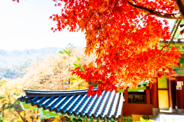 속리산 세조길 가이드