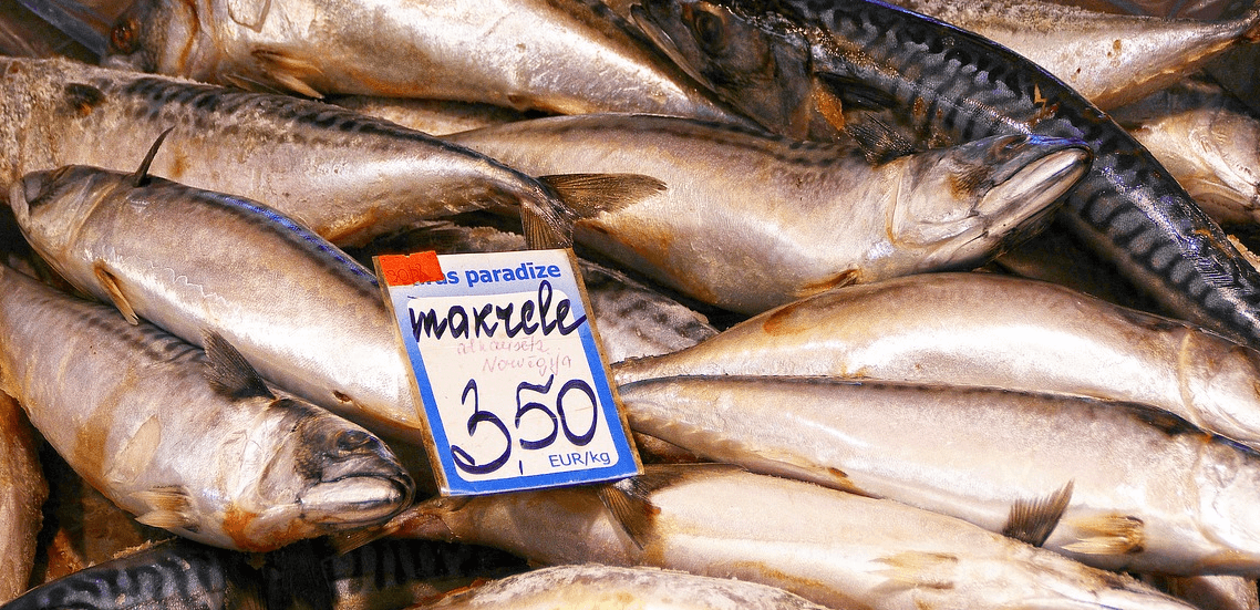 고등어 효능과 관련된 고등어와 생선 사진 - 10