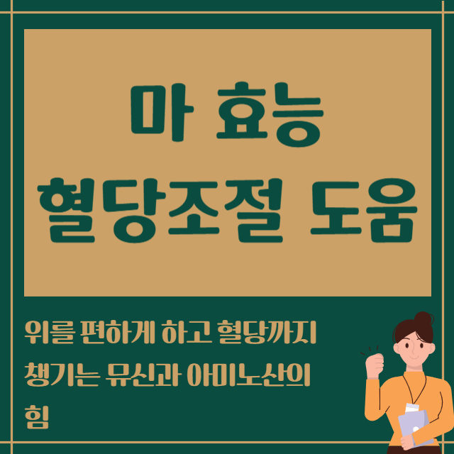 마 효능 혈당조절 도움