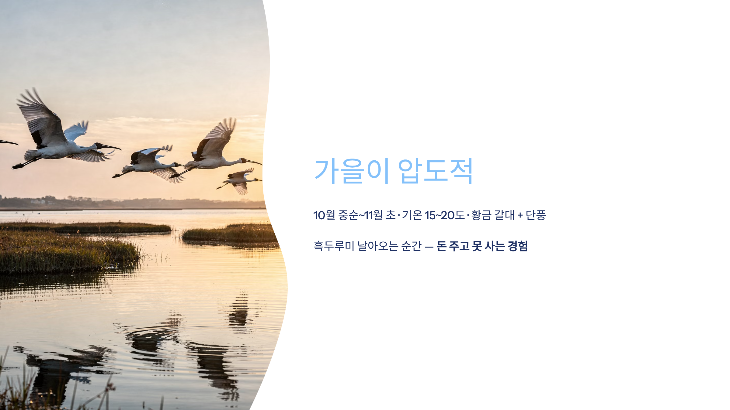 순천 근교 산책 달리기 트레킹 코스 추천 ❘ 습지부터 산줄기까지 걷는 여행