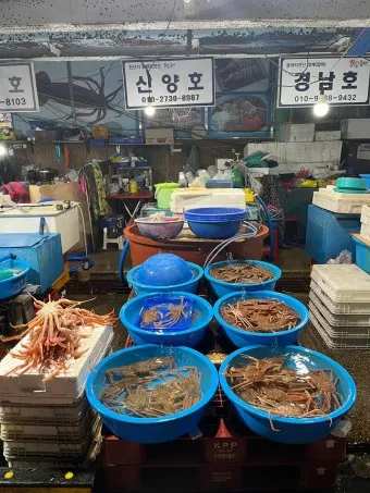 묵호항 배시간표 배편 요금 예약_10