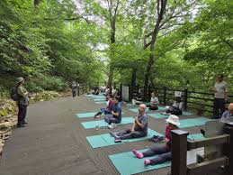 건강생활 실천지원금 신청방법