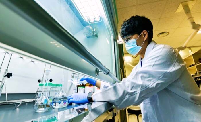 내장지방 체지방 염증 지방 돕는 수국잎 열수 추출물 대표 효능 3가지 및 부작용 알아보기