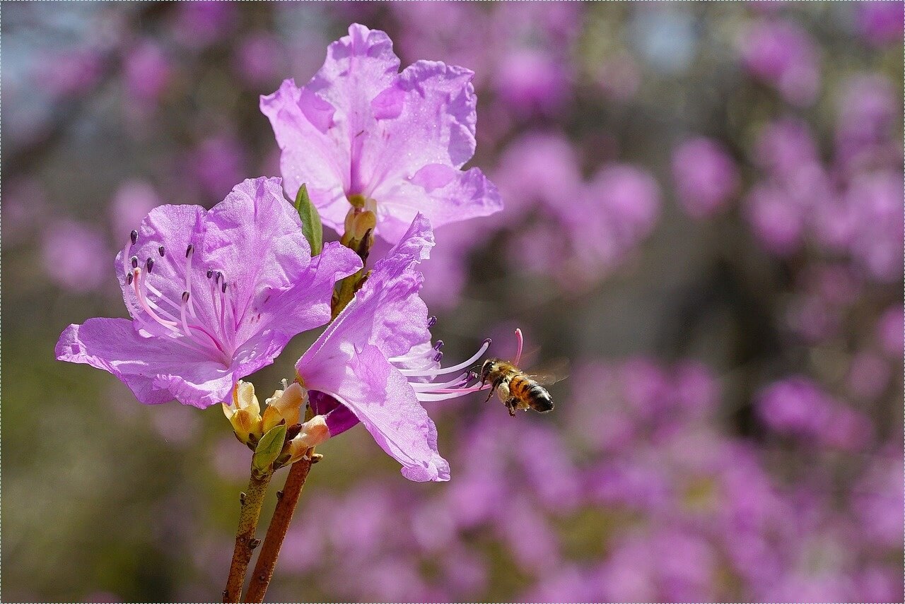 우리은행 정기예금 금리
