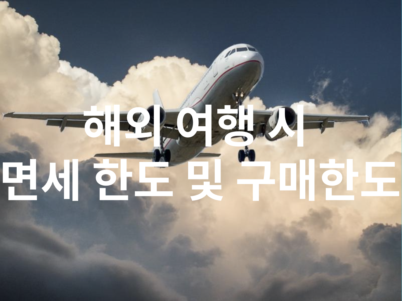 해외 여행 시 면세 한도 및 구매한도