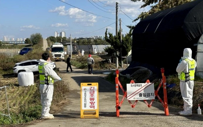 럼피스킨병 증상 원인 관련주 및 국내 소 럼피스킨병 확진 상황