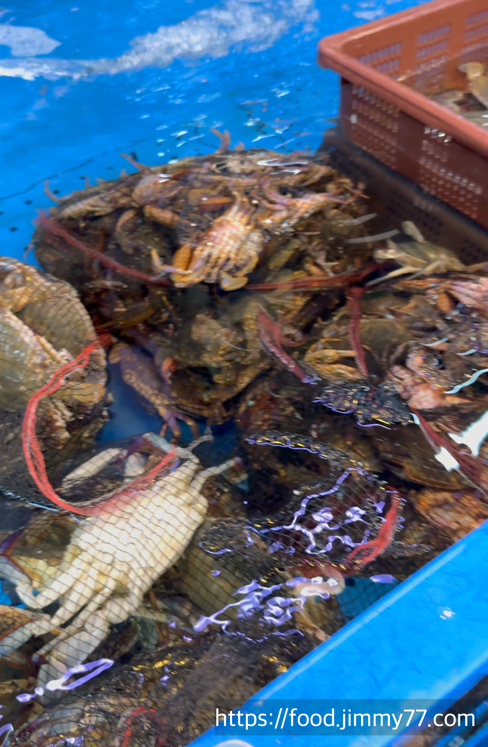 구리농수산물시장