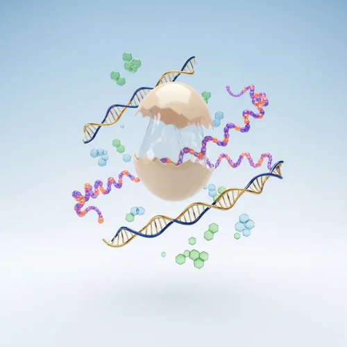 난각막&amp;#44; 도대체 뭐길래 이렇게 난리일까요?