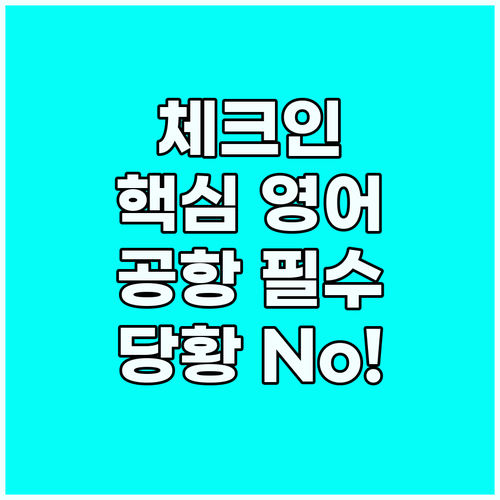 공항에서 당황하지 않는 체크인 영어 ..