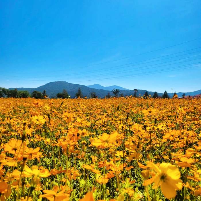 생방송투데이 캠핑장 57kg 오캠맨 증량 캠핑식 추천