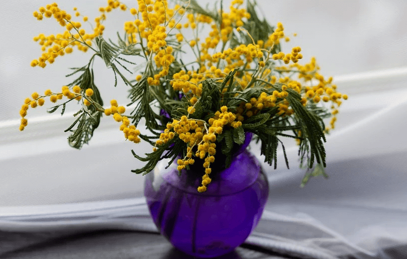 강화군 한부모 가족 명절 위문금