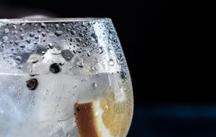 홀베리 유기농 레몬즙 가격 먹는법 후기