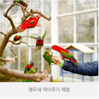 제주 화조원 티켓 (화조원 사이트 사진참조)