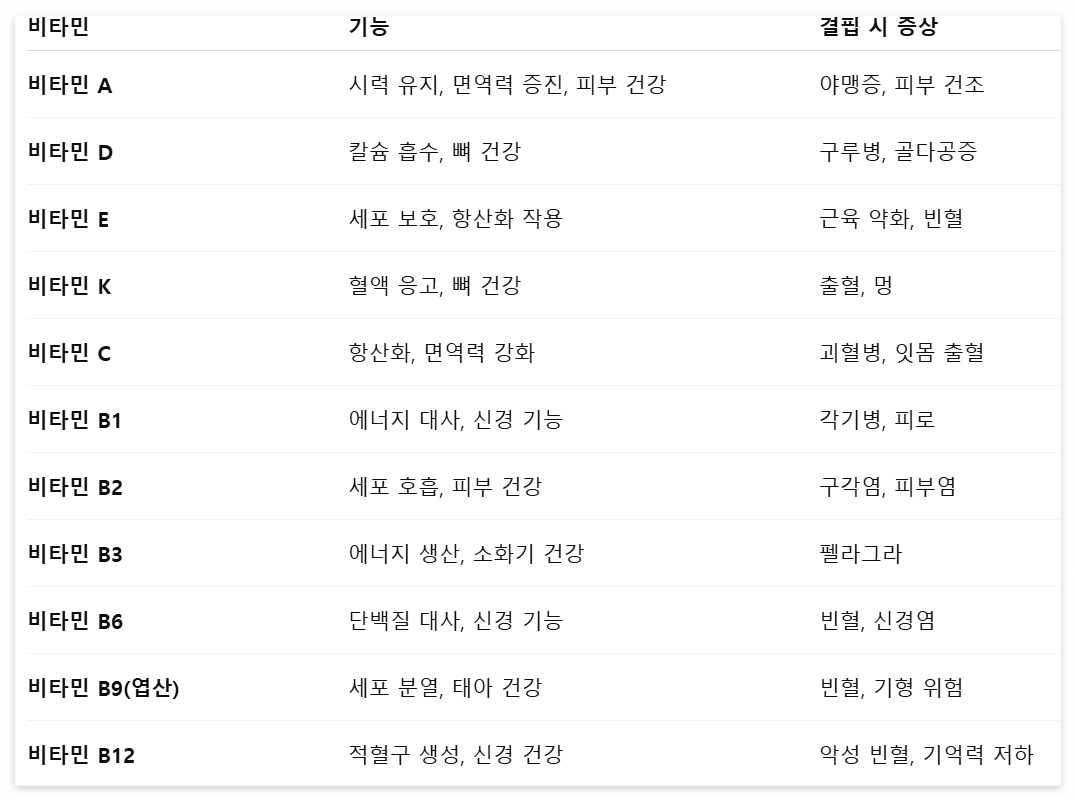 비타민-종류와-기능