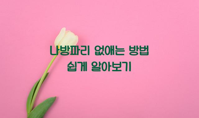 나방파리 없애는 방법