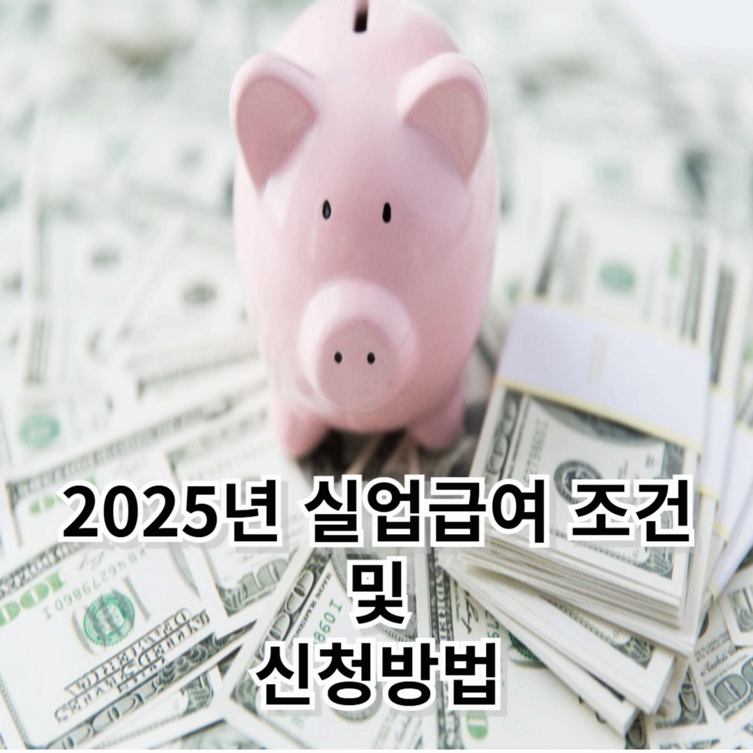 2025년 실업급여 조건과 신청방법