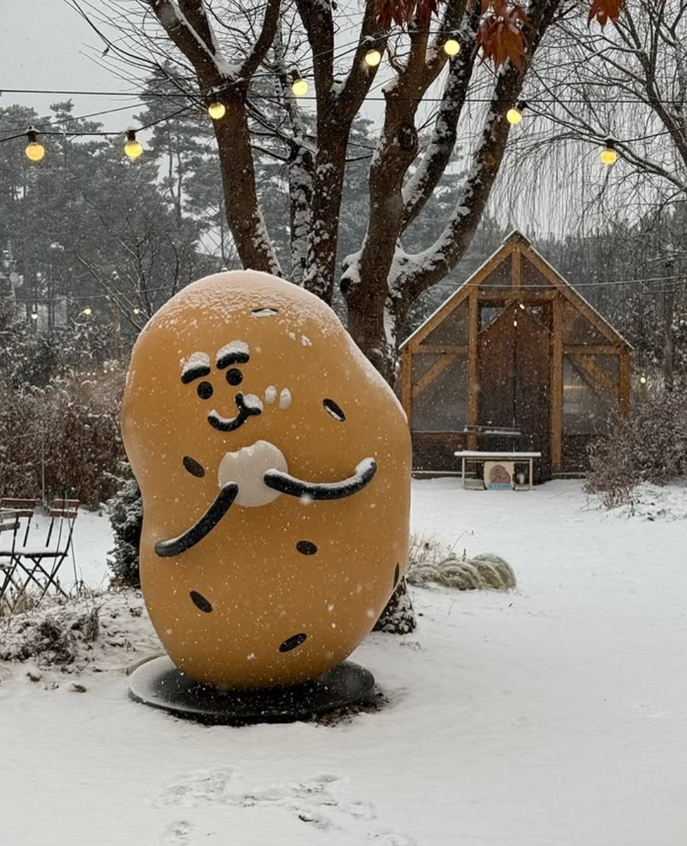 춘천 가볼만한곳 베스트10