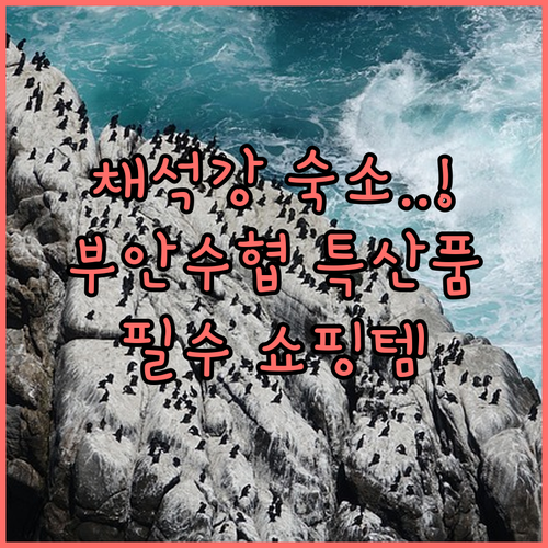 부안 채석강 숙소 추천과 부안수협 특..