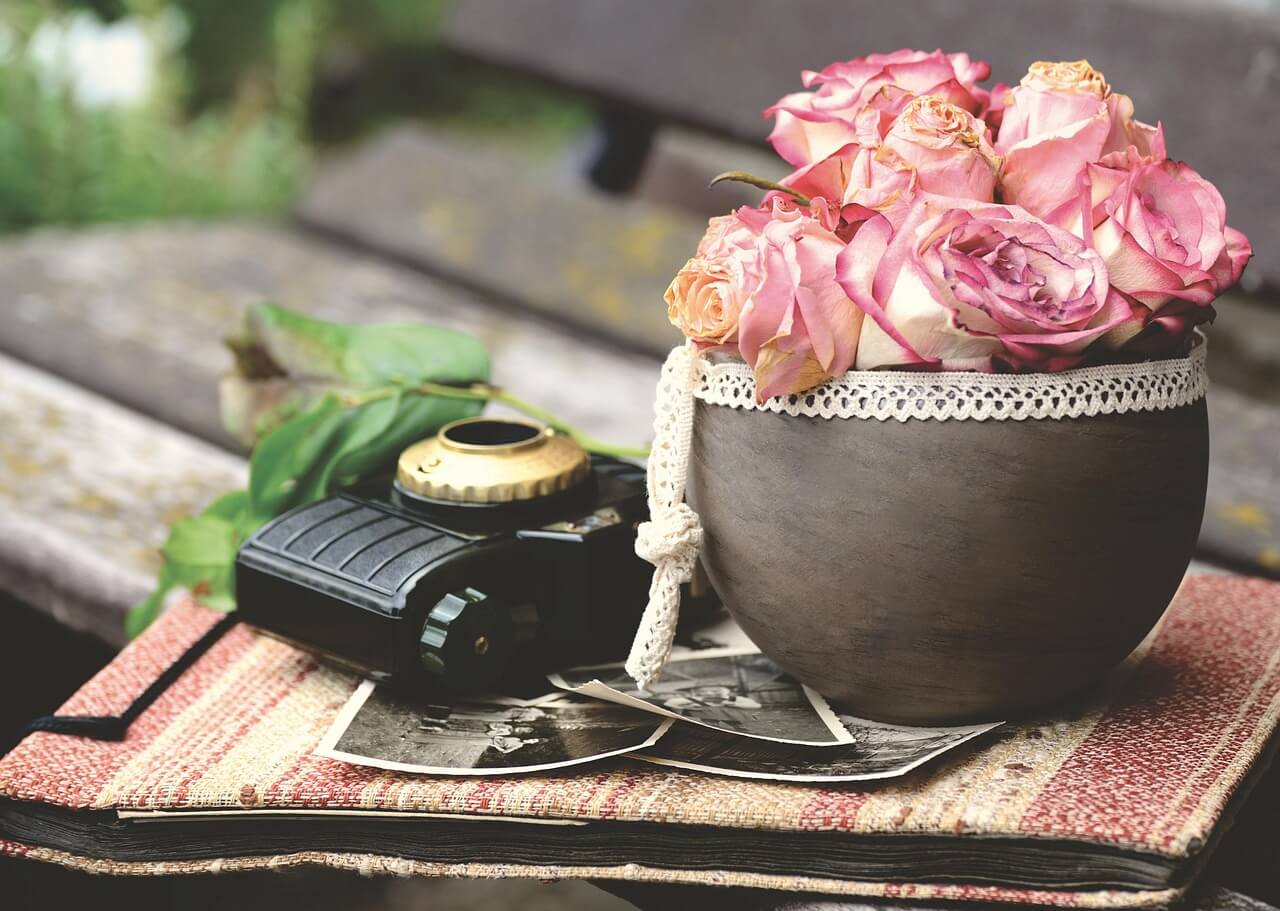 계절을 담는 취미, 압화 앨범 만들기 ― 꽃 수집부터 보관까지 전 과정 정리