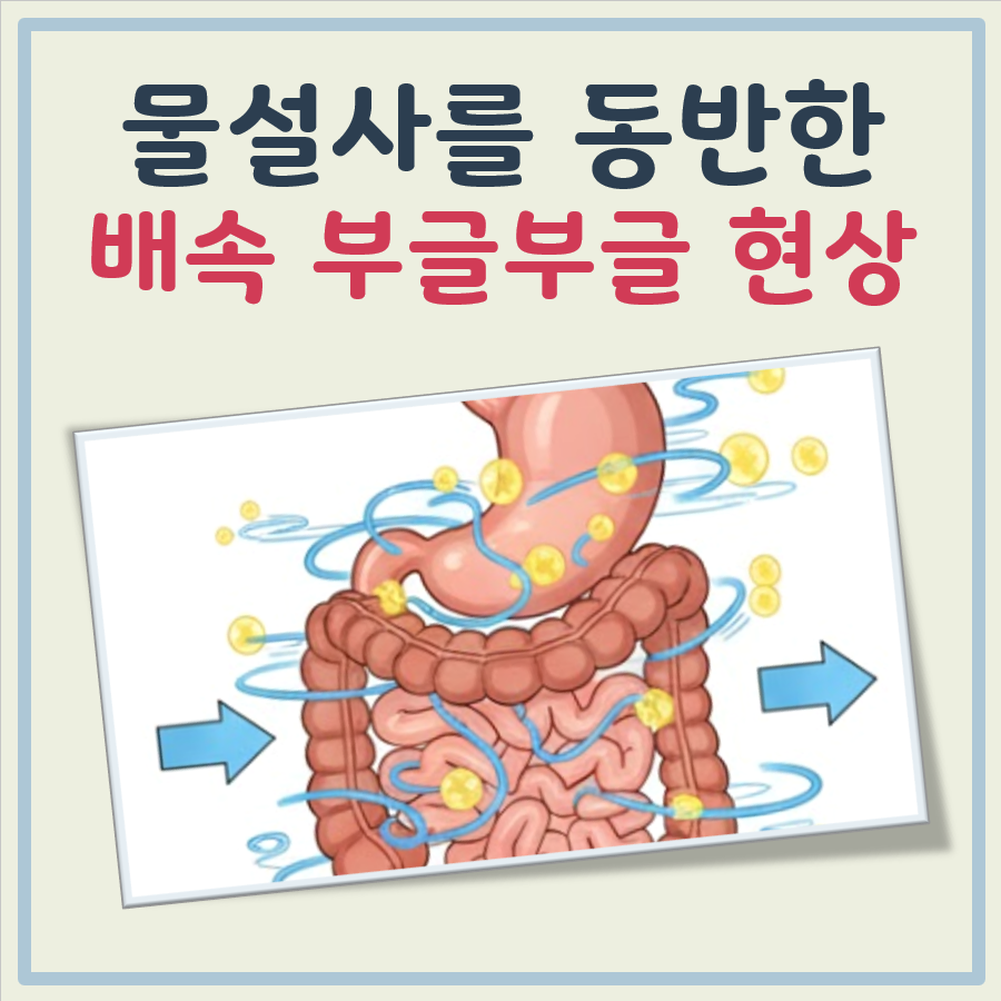 물설사하고 배속이 부글부글 대표 이미지