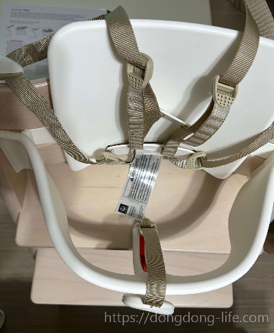 의자 사진