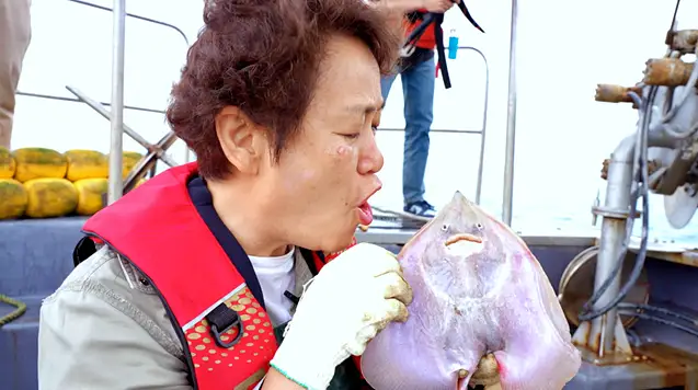 태안 가경주 안면도 맛집과 가볼만한 곳 추천