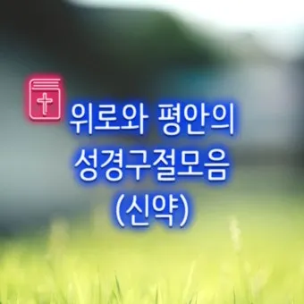 위로의 성경 말씀 치유의 말씀 50선_10