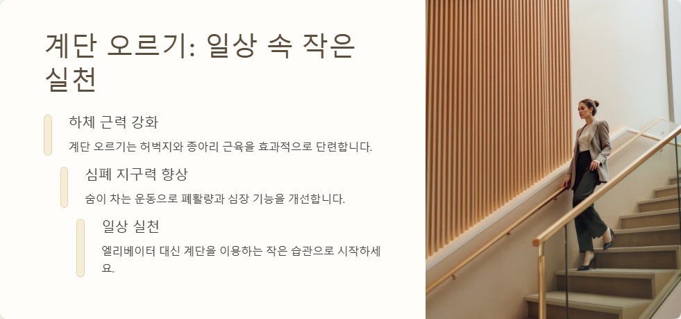 효과적인 유산소 운동 루틴, 빠르게 체지방 태우는 법