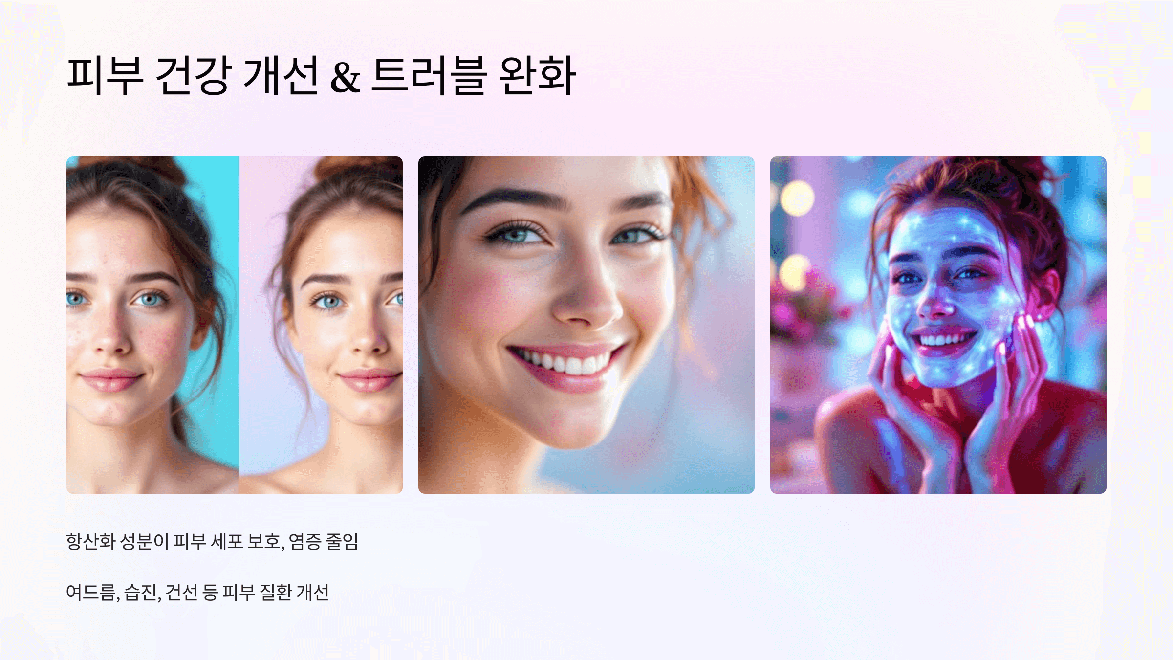 밀크씨슬 사진입니다.