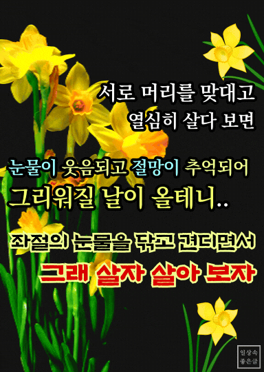 노란 수선화 배경 위에 인생 명언 문구 &lsquo;그래 살자 살아 보자&rsquo;가 적힌 따뜻한 응원 글귀 이미지