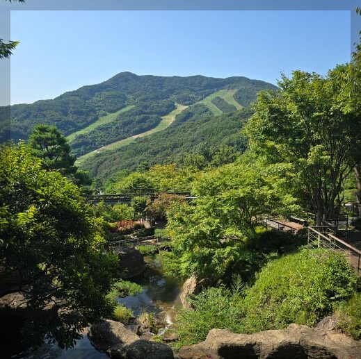 비 오는 날에도 매력적인 화담숲: 촬영 명소와 산책로 추천