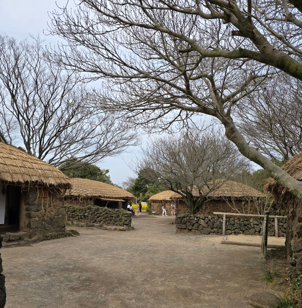 제주 민속촌 내부 이미지