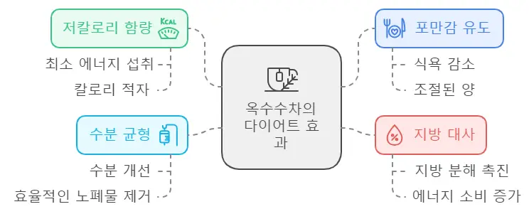 옥수수차의 다이어트 효과