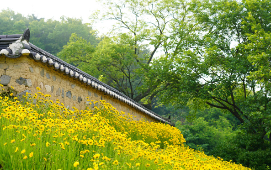 이름 없는 다리들 &ndash; 시골 돌다리와 징검다리 이야기