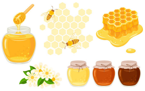 프로폴리스 효능, 부작용, 복용법 총정리 (2024ver)