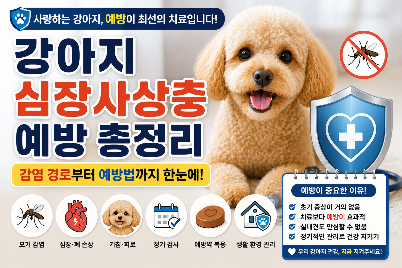 강아지 심장사상충 예방 총정리|감염 경로부터 예방법까지 꼭 알아야 할 정보
