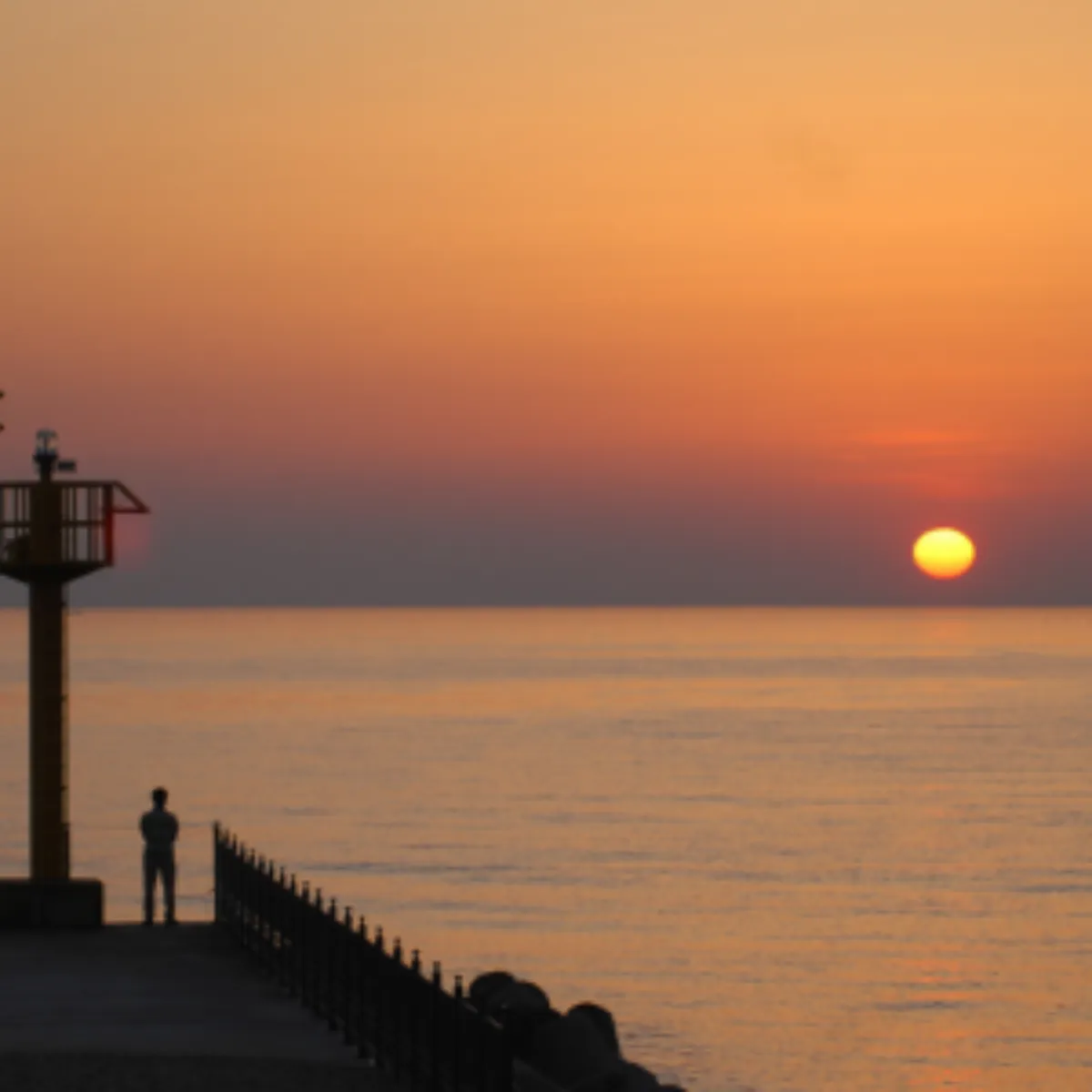 2025년 새해 일출 명소