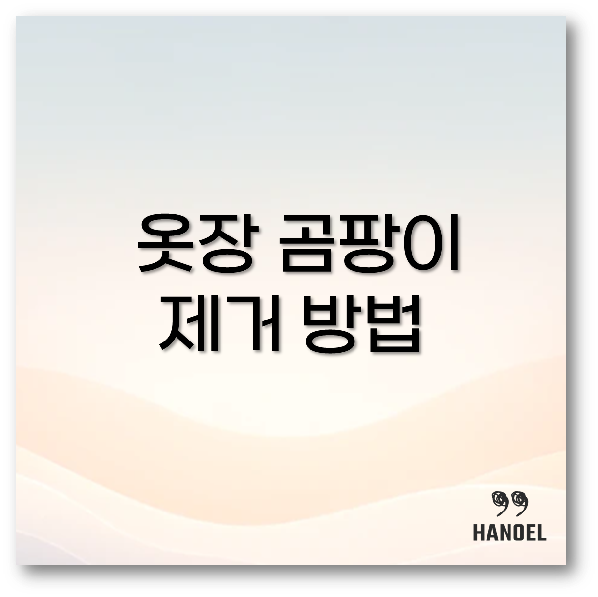 옷장 곰팡이