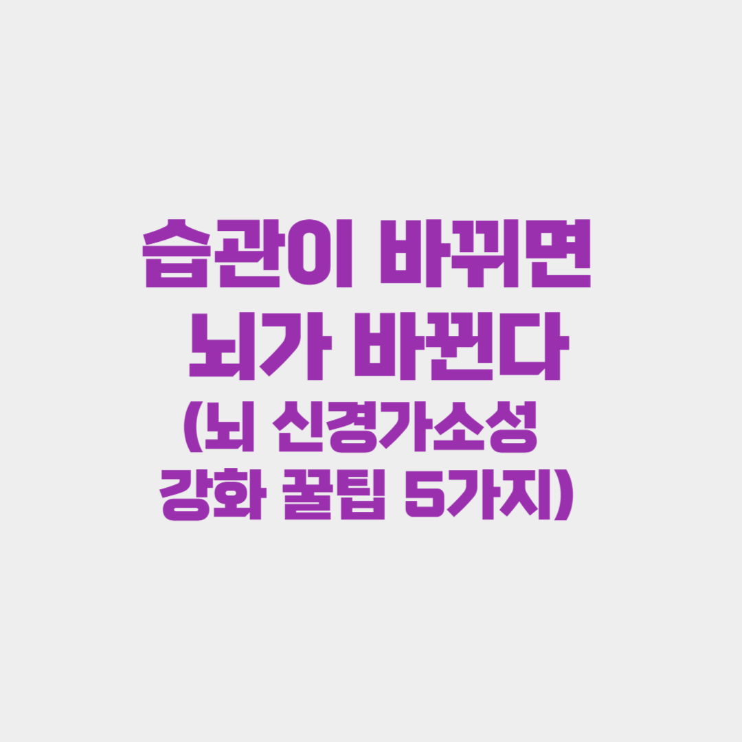 습관이 바뀌면 뇌가 바뀐다( 신경가소성 강화 꿀팁 5가지)