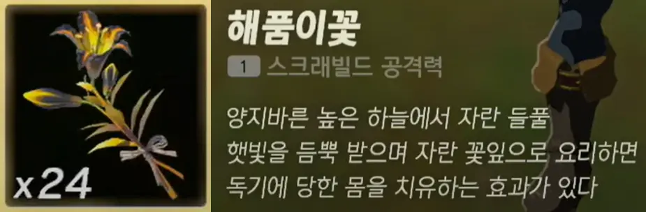 해품이꽃