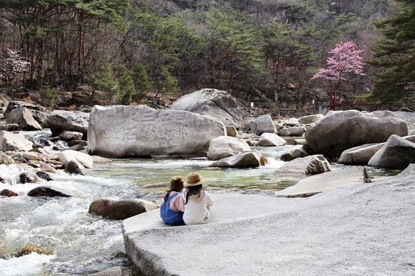 단양 선암골생태유람길