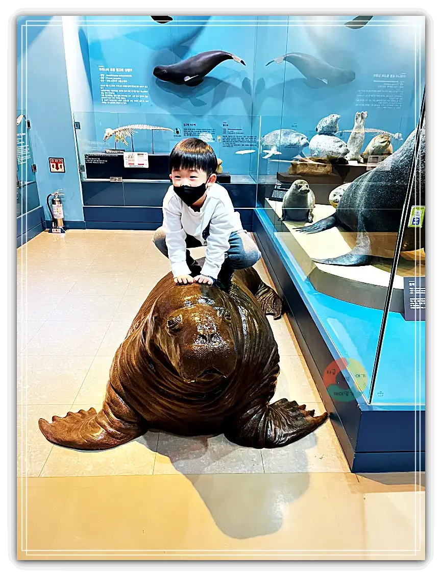 서대문자연사박물관_해양생물-물개모형-물개위에-올라탄-아이
