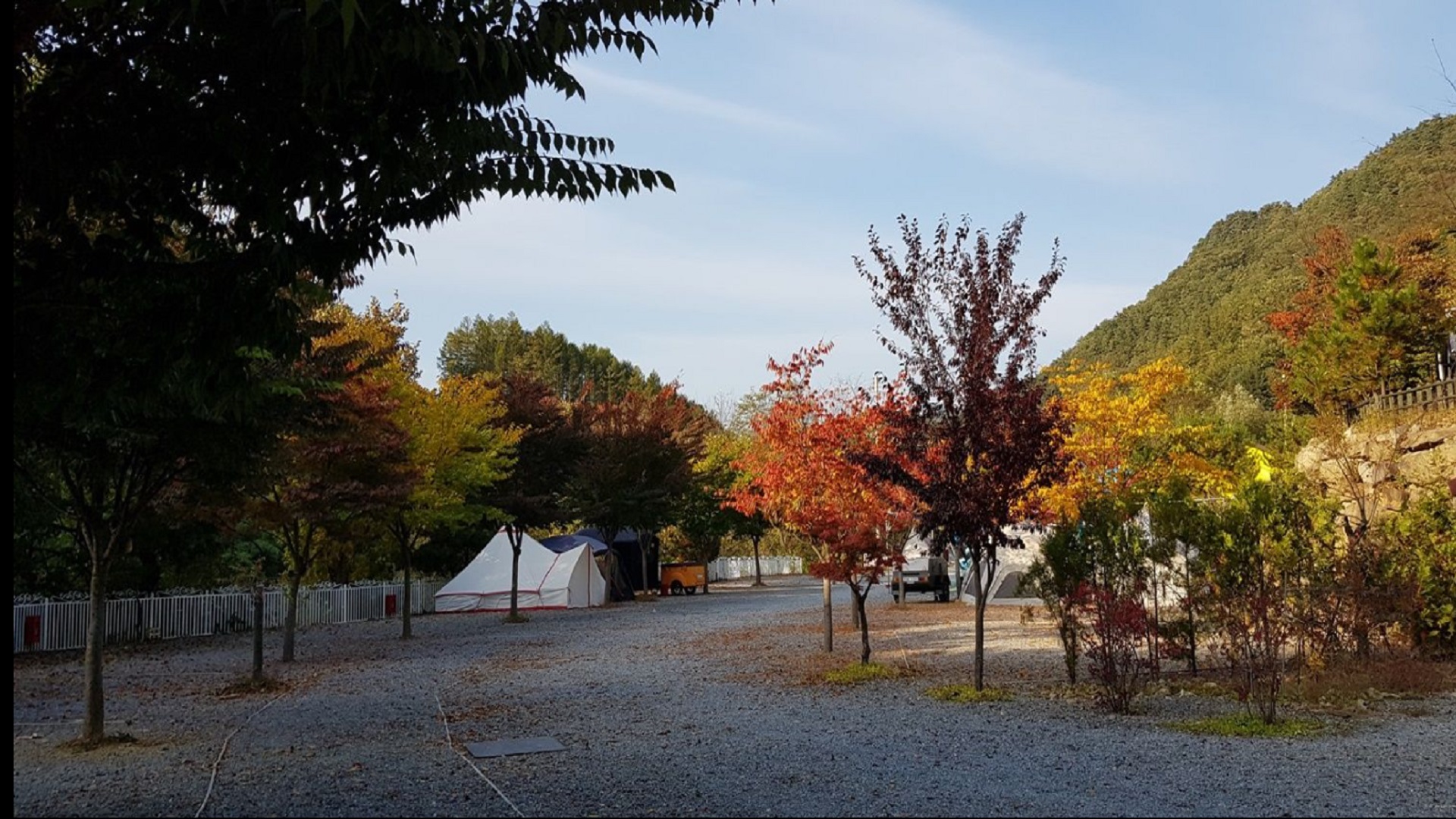 영월군 요기는 캠핑장 예약 바로가기