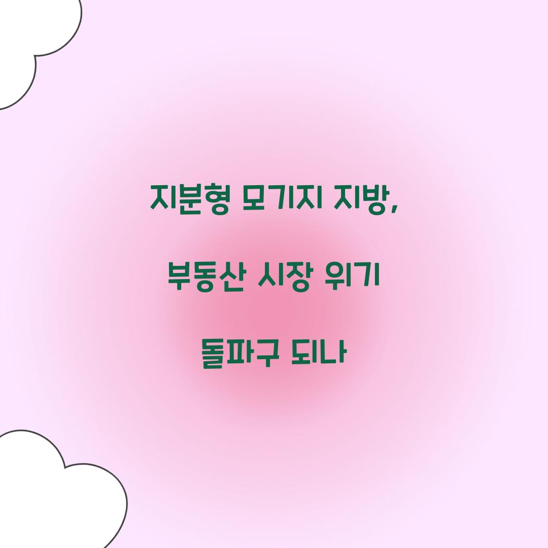 지분형 모기지 지방