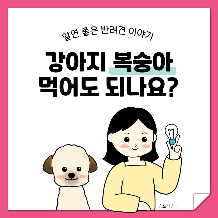 강아지 복숭아 먹어도 되나요 표지 이미지