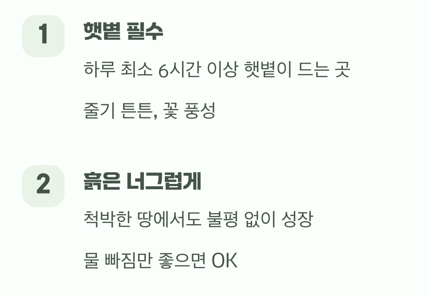 햇볕을 사랑하는 너그러운 성품
