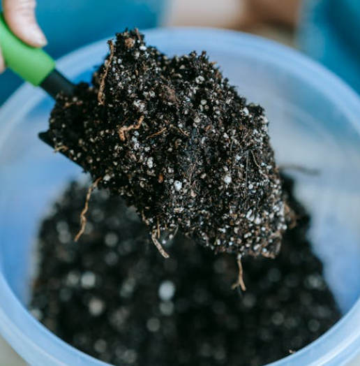 식물에게 좋은 흙의 조건과 혼합비율