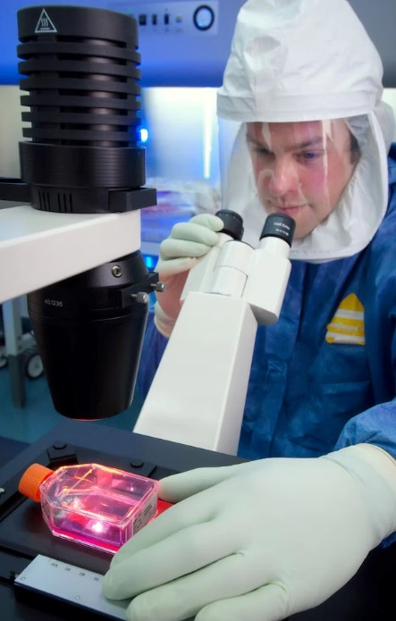 조인트스템이란?