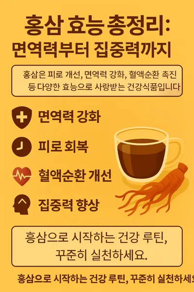 홍삼 효능 총정리 안내