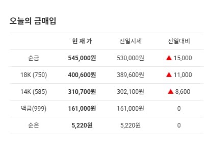 금값 전망